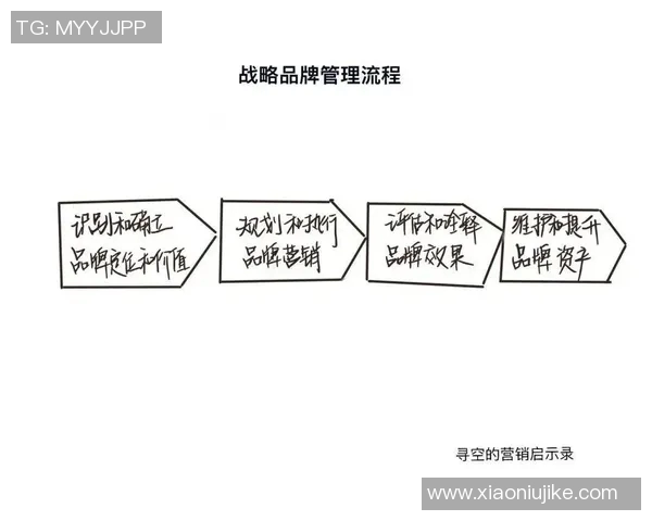 体育品牌营销案例分析与启示探讨企业发展战略路径