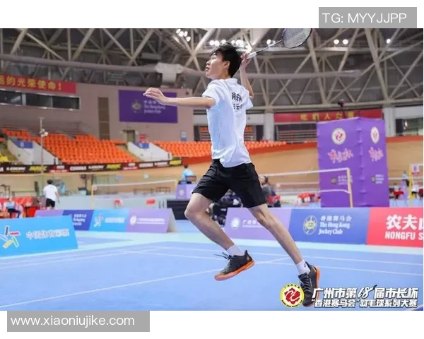 羽毛球顶级赛事选手状态与表现分析探讨及竞技水平提升策略