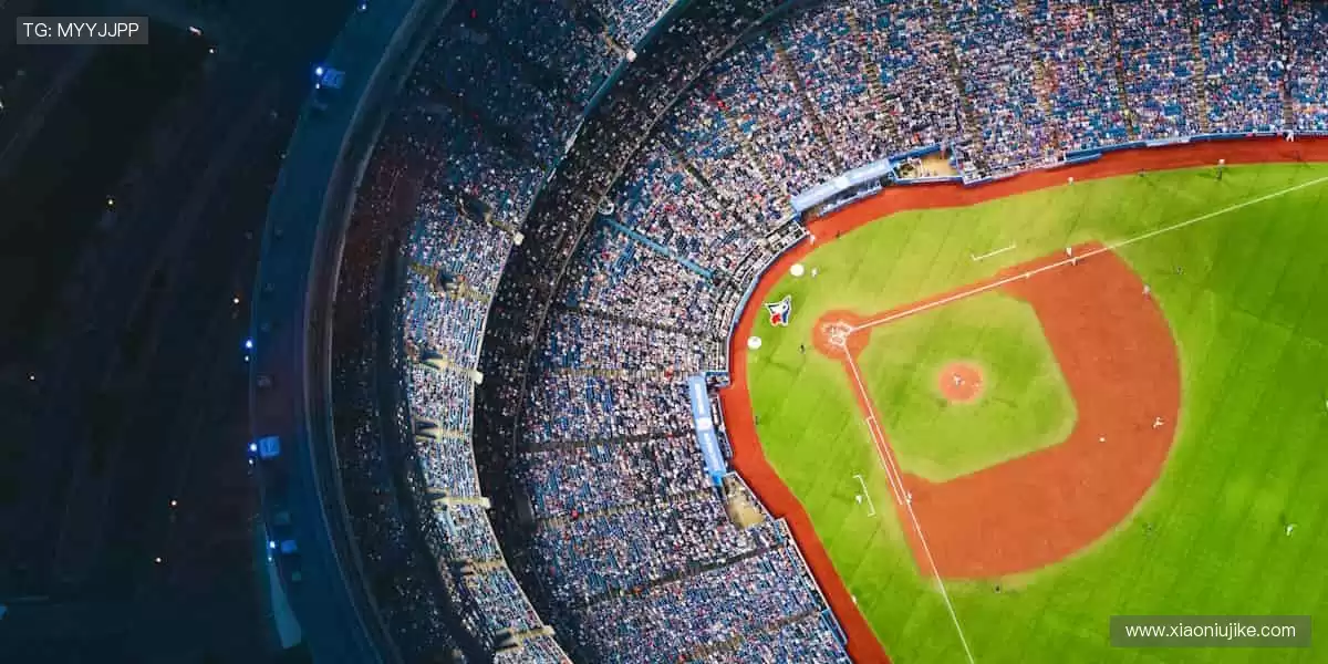 ⚽激情永不落幕，赛事官网带你感受纯粹的竞技魅力！